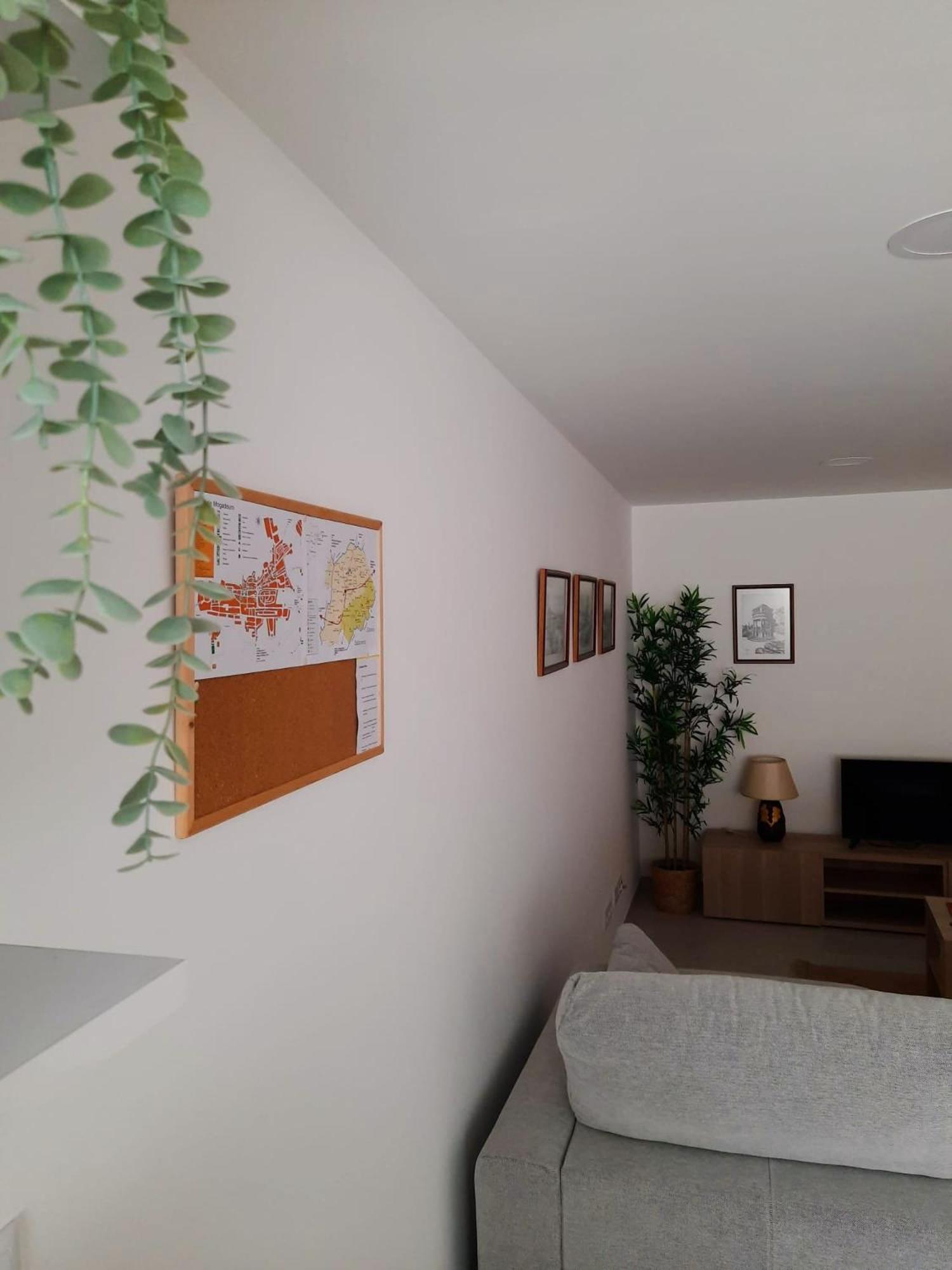 Apartamento A Toca Dos Coelhos Mogadouro  Exterior foto